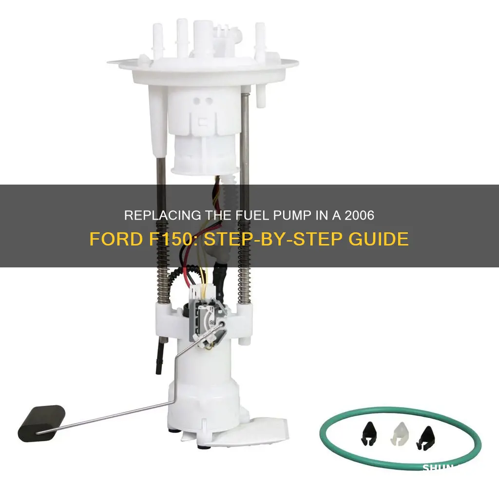 how to replace fuel pump on 2006 ford f150