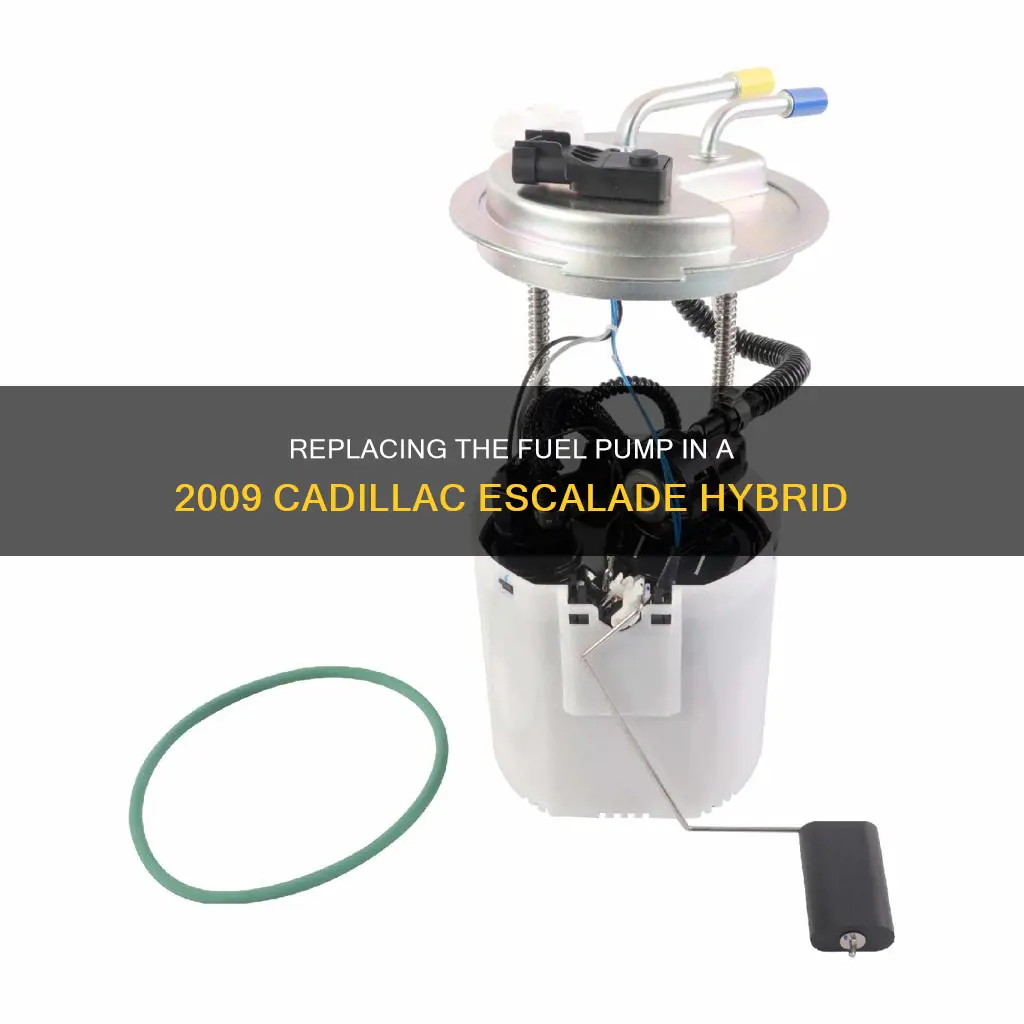 how to replace fuel pump on 2009 cadillac escalade hybrid