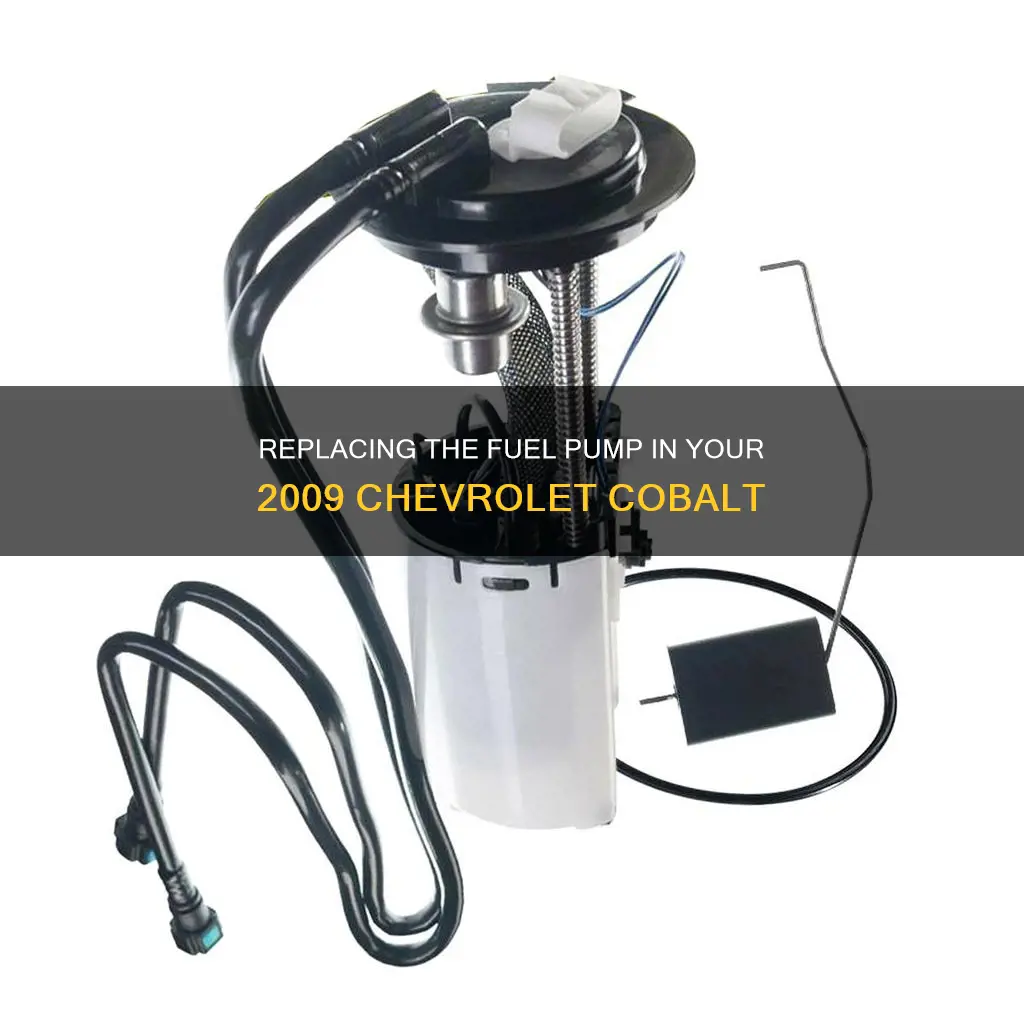 how to replace fuel pump on 2009 chevrolet cobolt