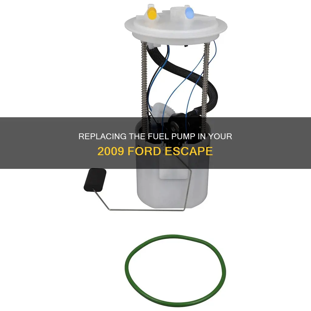 how to replace fuel pump on 2009 ford escape