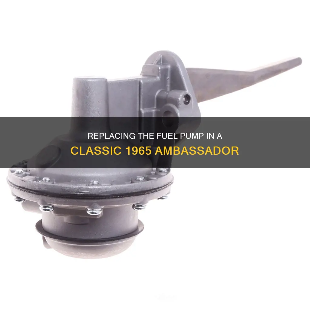 how to replace fuel pump on a 1965 ambassador