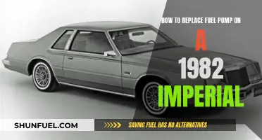 Replacing the Fuel Pump on a Classic 1982 Imperial