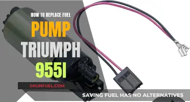 Replacing Fuel Pump in Triumph 955i: Step-by-Step Guide