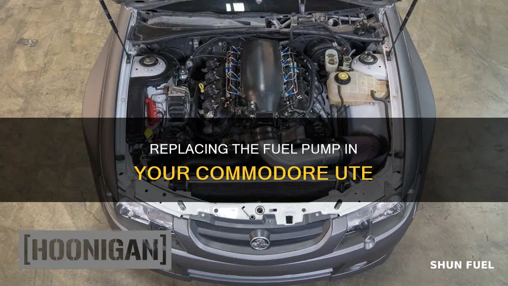 how to replace fuel pump vs commodore ute