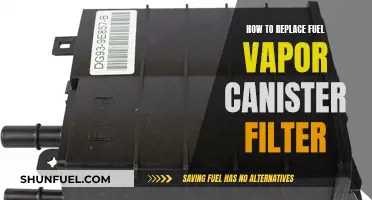 Replacing Fuel Vapor Canister Filter: Step-by-Step Guide