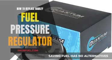 Harley Fuel Pressure Regulator: Replacing the Regulator Like a Pro