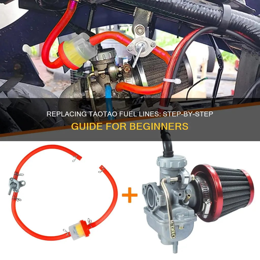 how to replace taotao fuel line