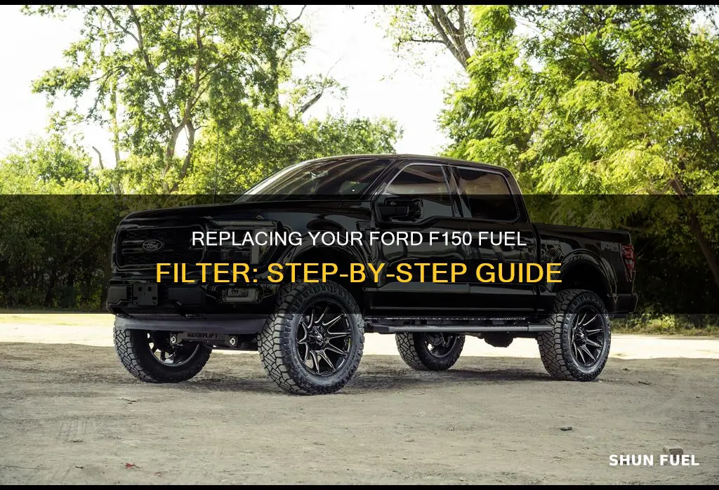 how to replace the fuel filter on a ford f150