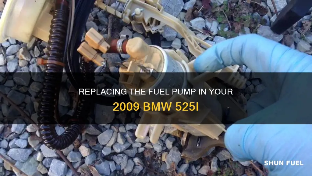 how to replace the fuel pump in a 2009 bmw525i