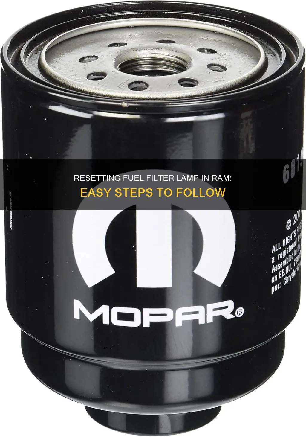 how to reser fuel filter lamp ram