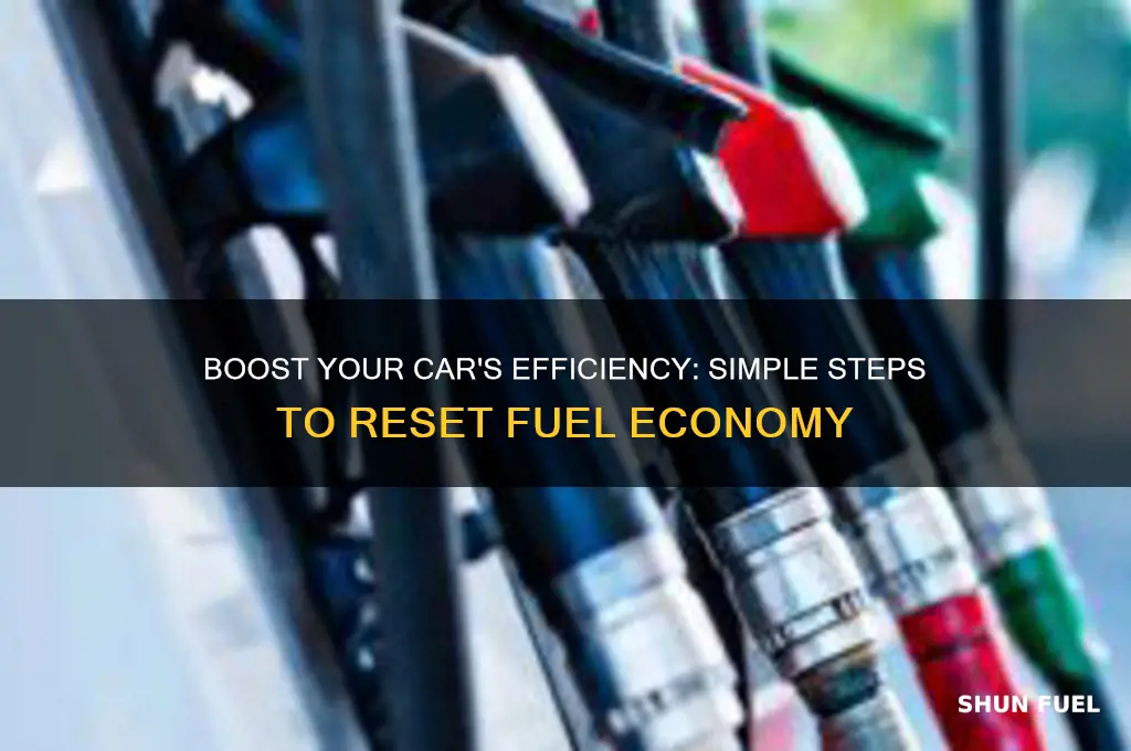 how to reset fuel economy