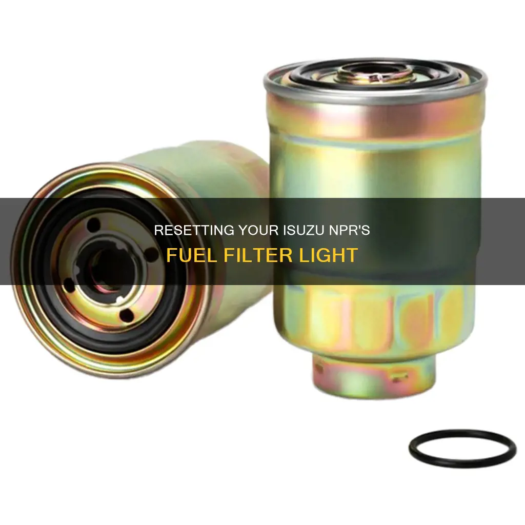 how to reset fuel filter lite on isuzu npr