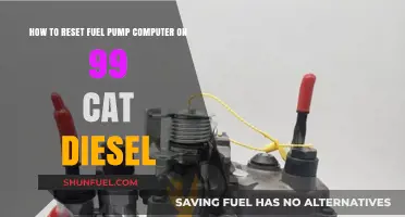 Resetting the Fuel Pump Computer on a 99 CAT Diesel