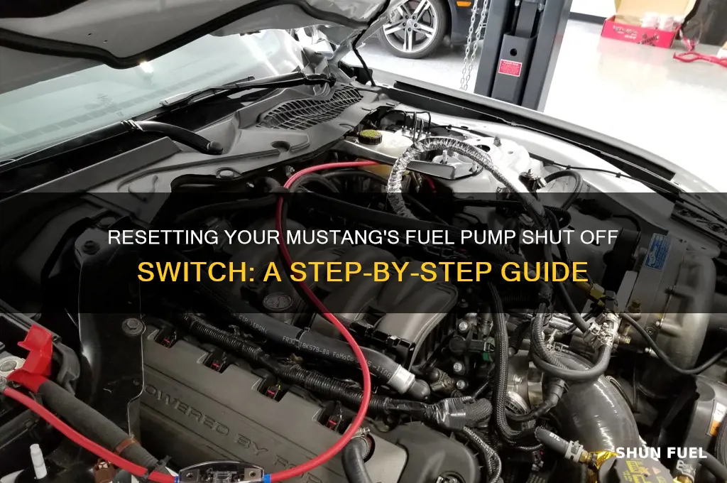 how to reset fuel pump shut off switch mustang