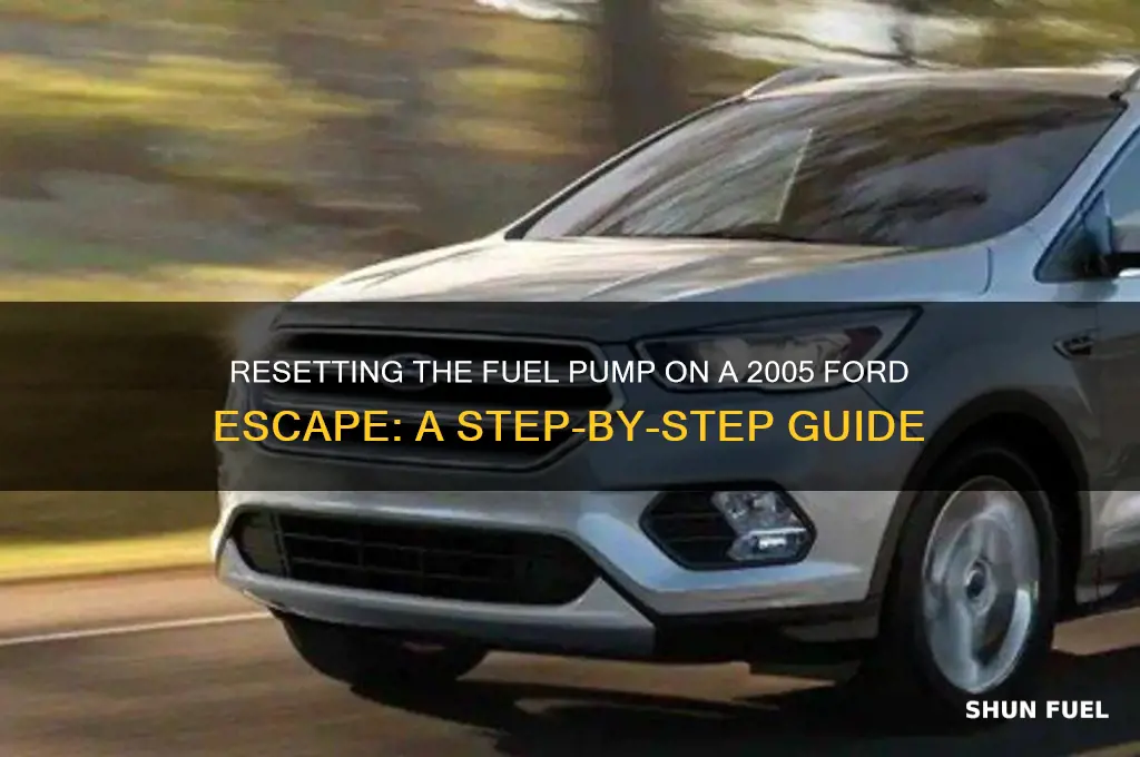 how to reset the fuel pump 2005 ford escape