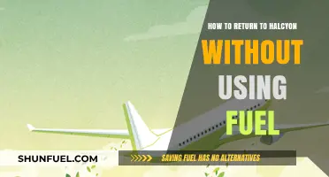 Eco-Friendly Journey: Returning to Halcyon Fuel-Free with Smart Strategies