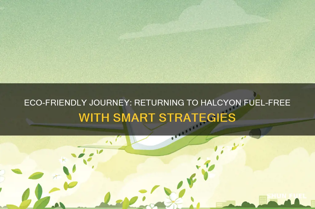 how to return to halcyon without using fuel