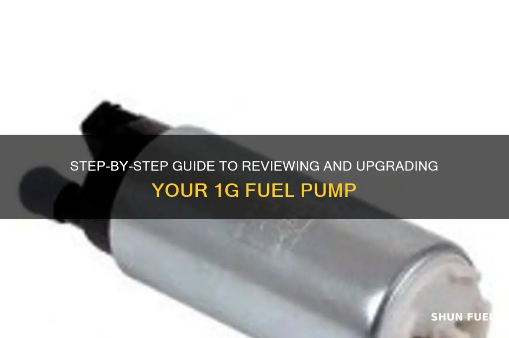 how to rewie 1g fuel pump