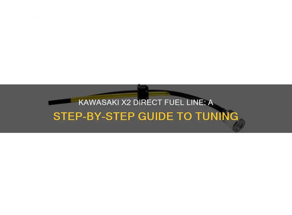 how to run direct fuel line kawasaki x2