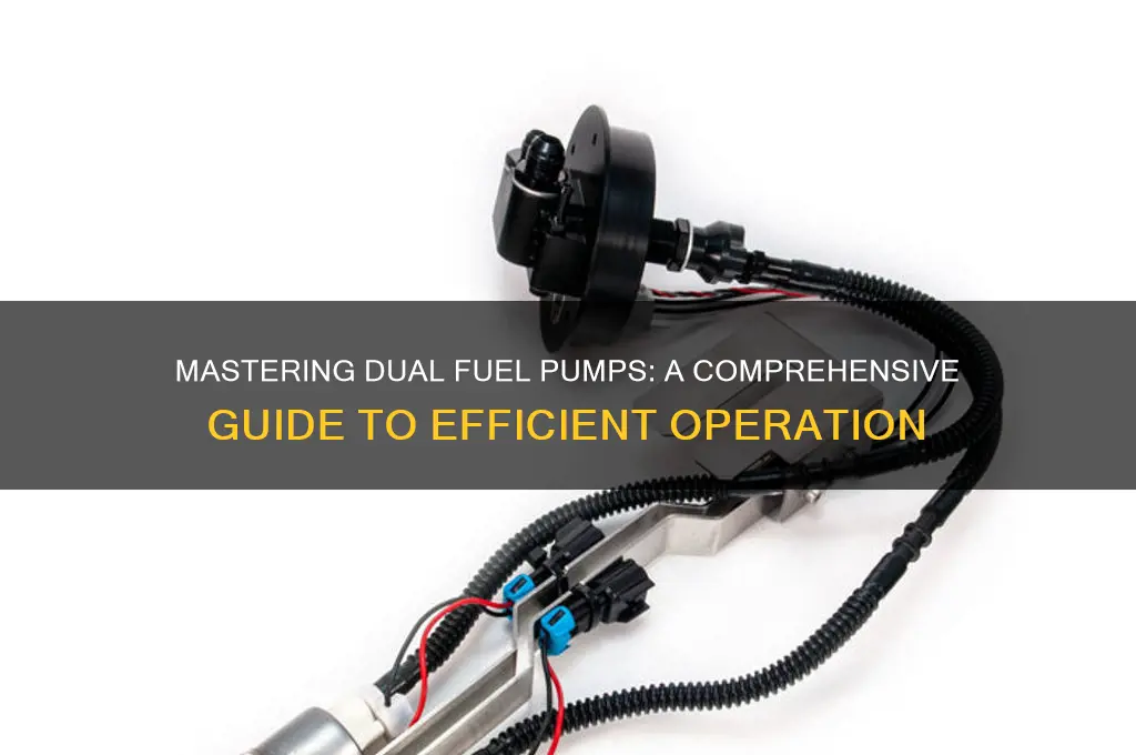 how to run duel fuel pumps