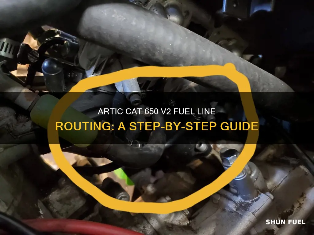 how to run fuel lines on artic cat 650 v2