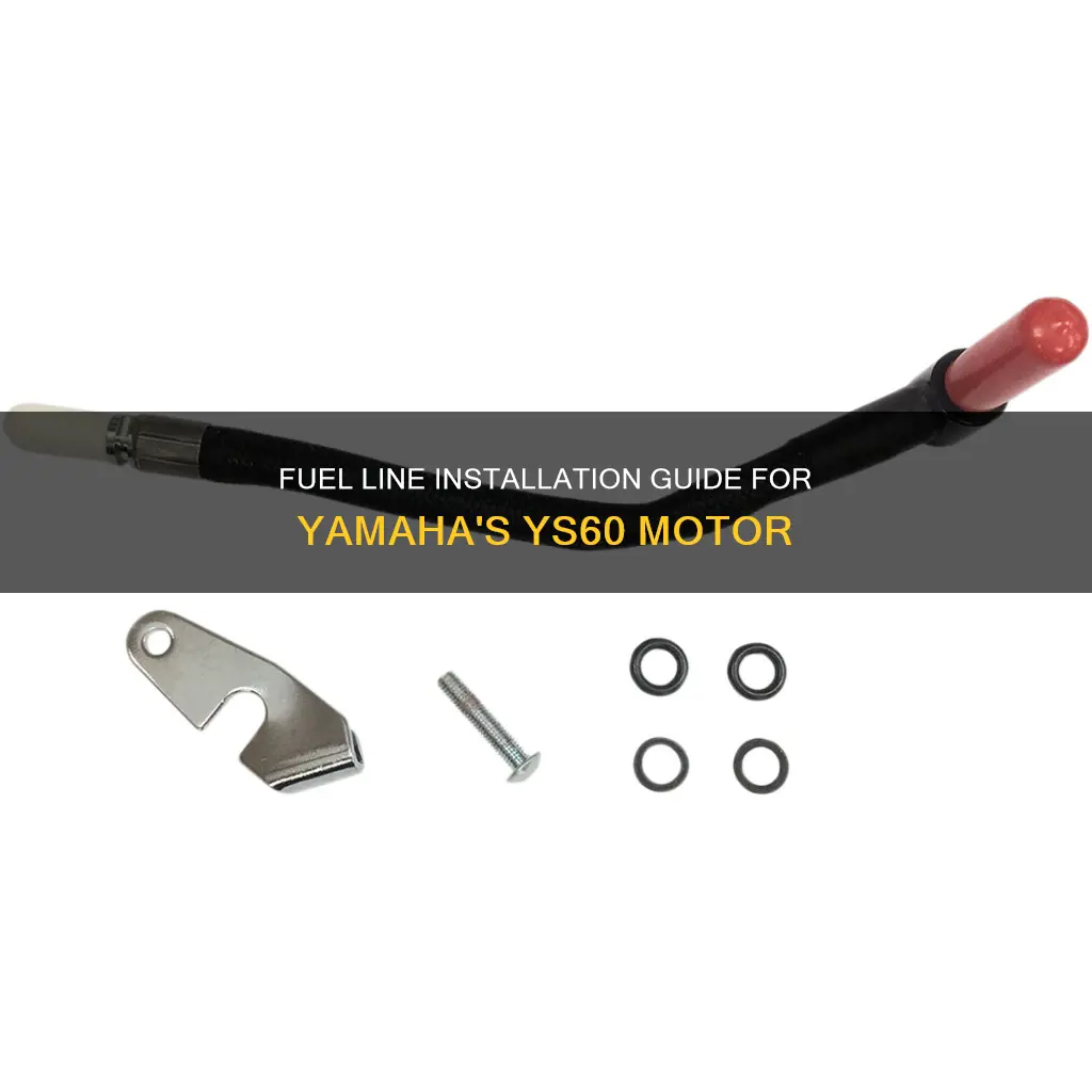 how to run fuel lines to ys 60 motor