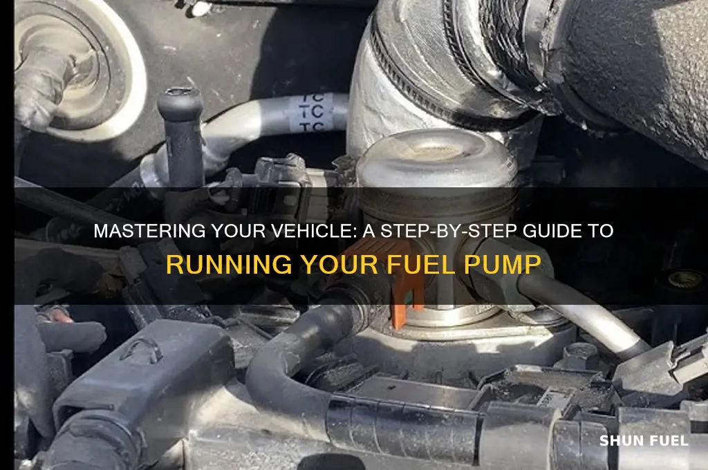 how to run youe fuel pump