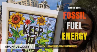 Sustainable Solutions: Smart Strategies to Conserve Fossil Fuel Energy