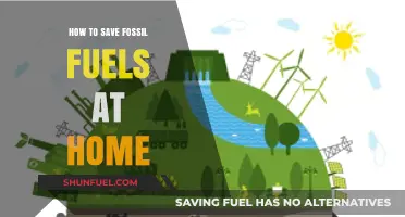 Efficient Home Habits: Practical Ways to Conserve Fossil Fuels Daily