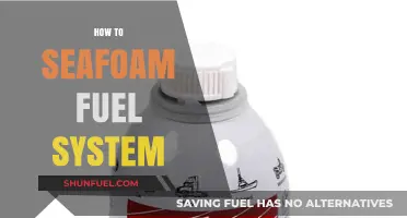 Seafoam Fuel System Cleaning: A Step-by-Step Guide for Optimal Performance