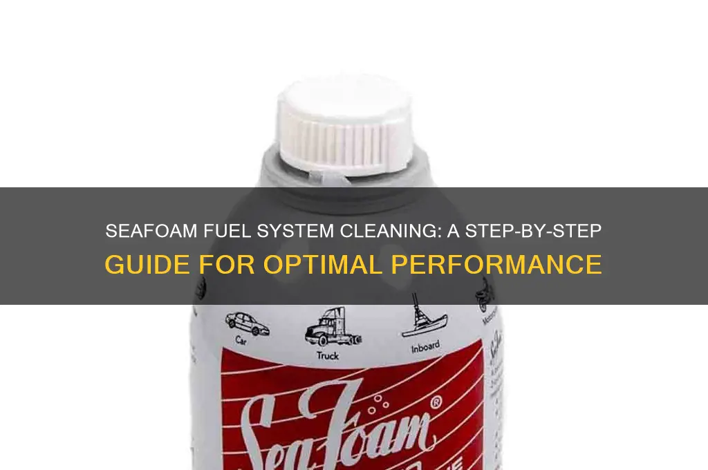 how to seafoam fuel system