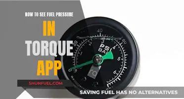 Understanding Fuel Pressure Readings with the Torque App