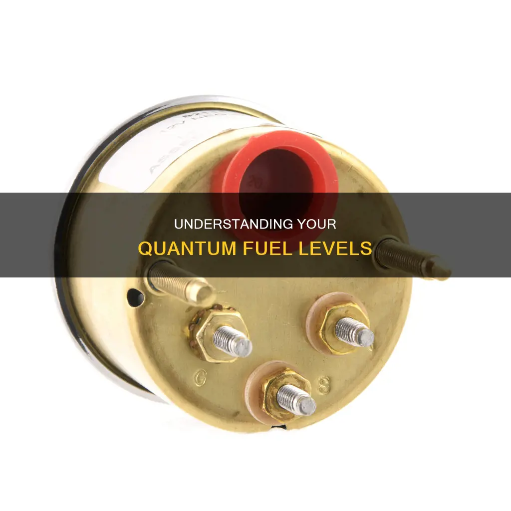 how to see how much quantum fuel you have