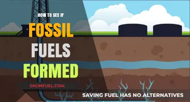 Uncovering Fossil Fuel Origins: A Step-by-Step Formation Guide