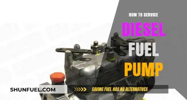 Servicing Diesel Fuel Pumps: A Step-by-Step Guide