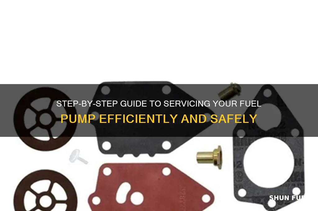 how to service fuel pump