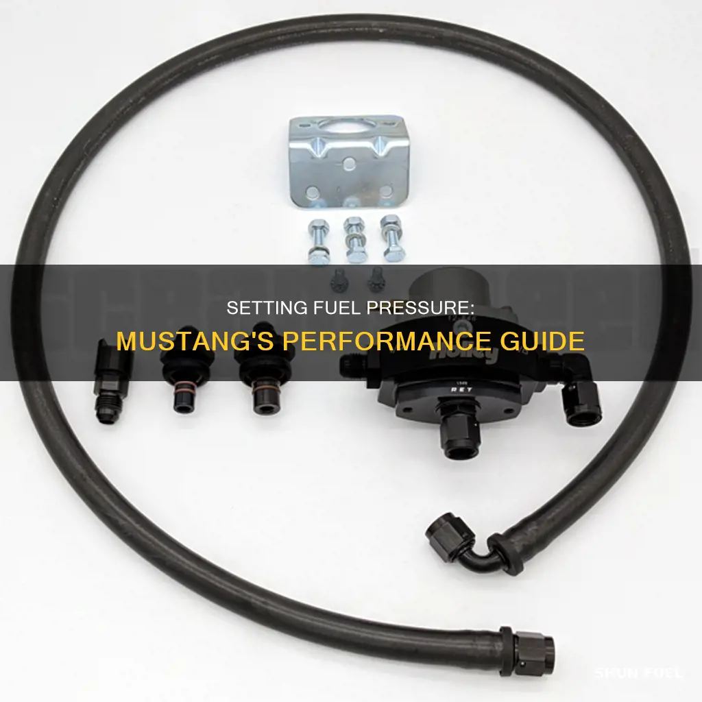 how to set fuel pressure mustang