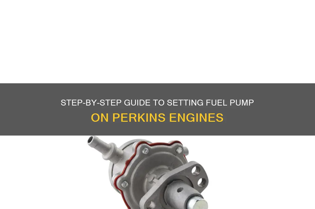 how to set fuel pump on perkins