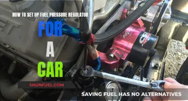 Setting Up Your Car's Fuel Pressure Regulator: A Guide