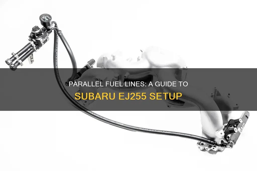 how to set up parrellel fuel lines subaru ej255