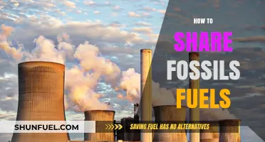 Sustainable Fossil Fuel Sharing Strategies for a Greener Energy Future