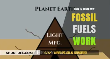 Understanding Fossil Fuels: A Step-by-Step Guide to Their Functionality
