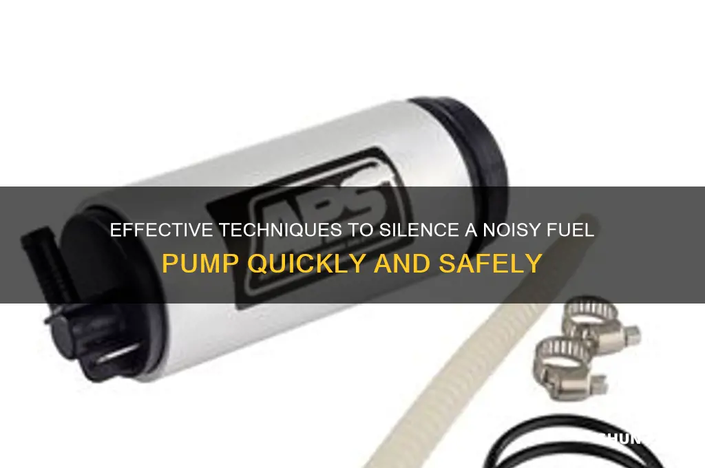 how to silence a fuel pump