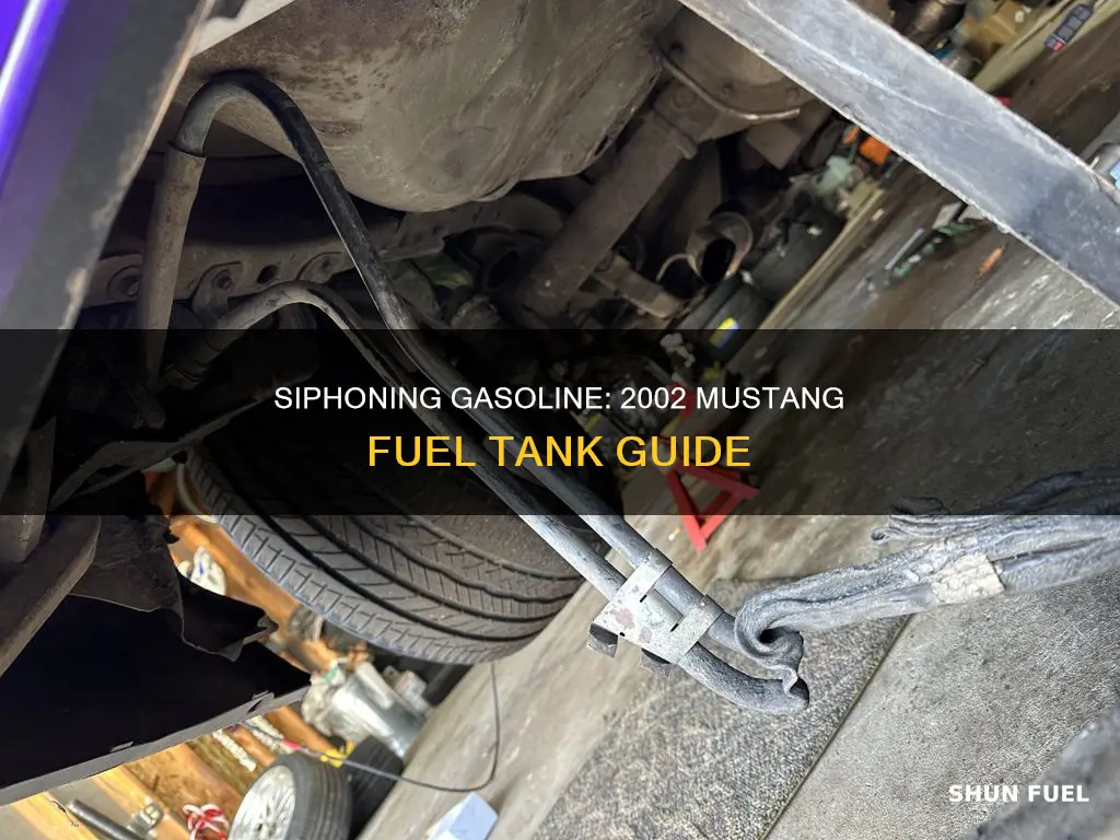 how to siphon gasoline from a 2002 mustang fuel tank