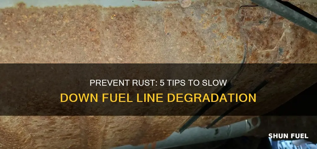 how to slow down rusting fuel lines