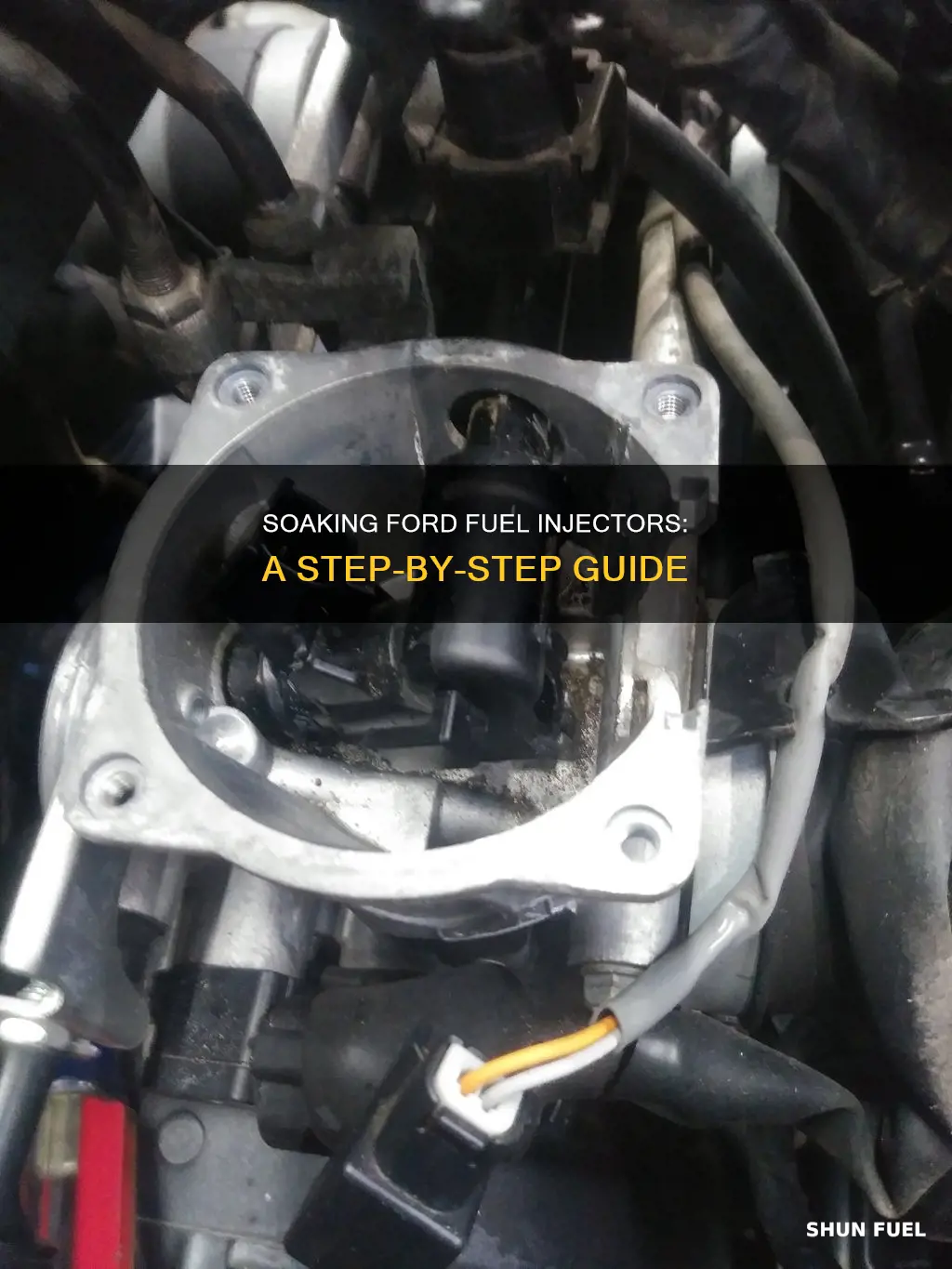 how to soak ford fuel injectors