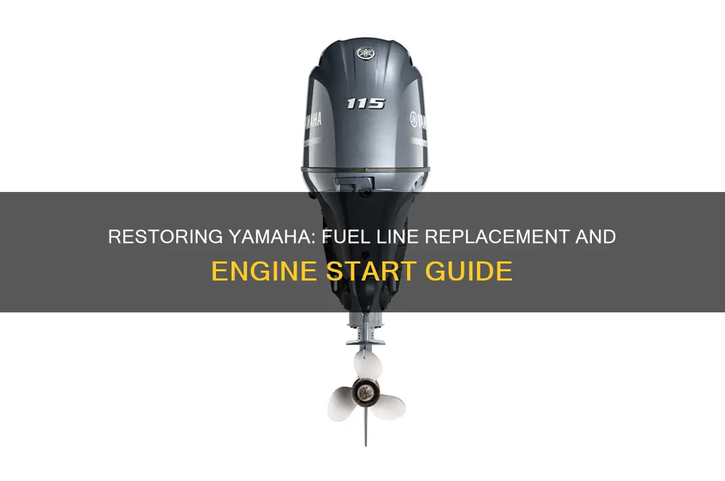 how to start 115 yamaha after replacing fuel lines