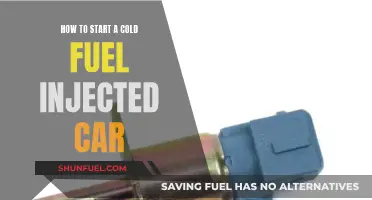Cranking Up Cold Fuel Injected Cars