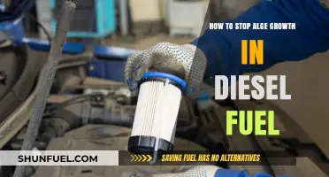 Preventing Algae Growth in Diesel Fuel: Effective Strategies