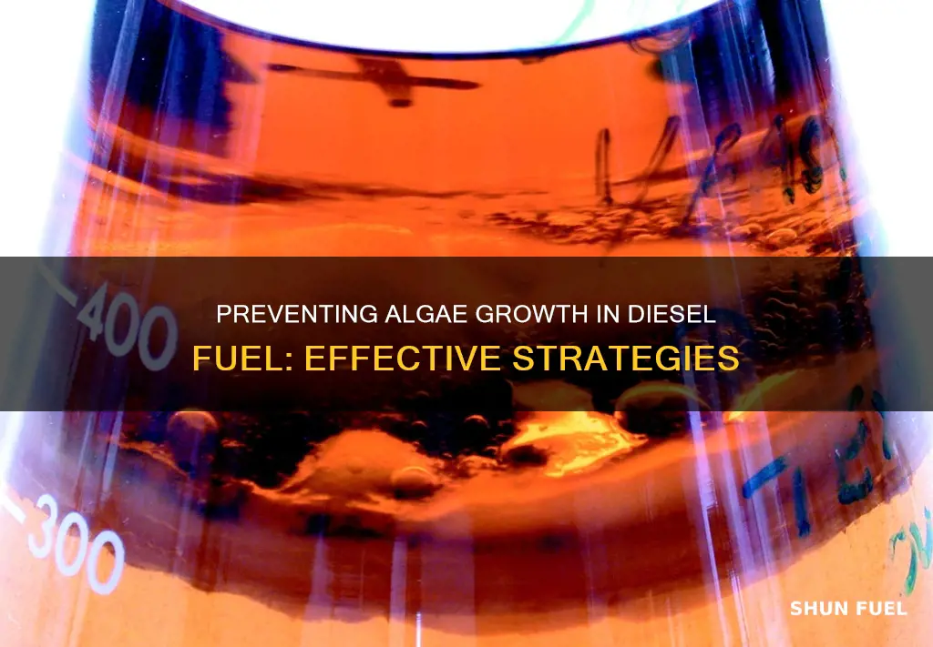 how to stop alge growth in diesel fuel